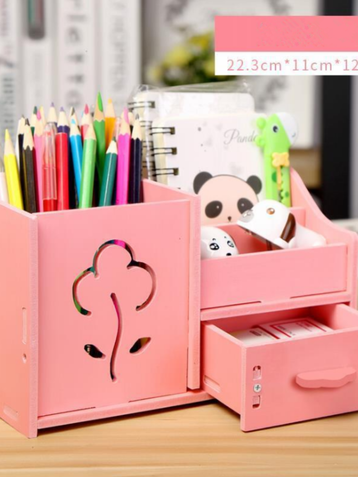Multi-Function Desktop Organizer