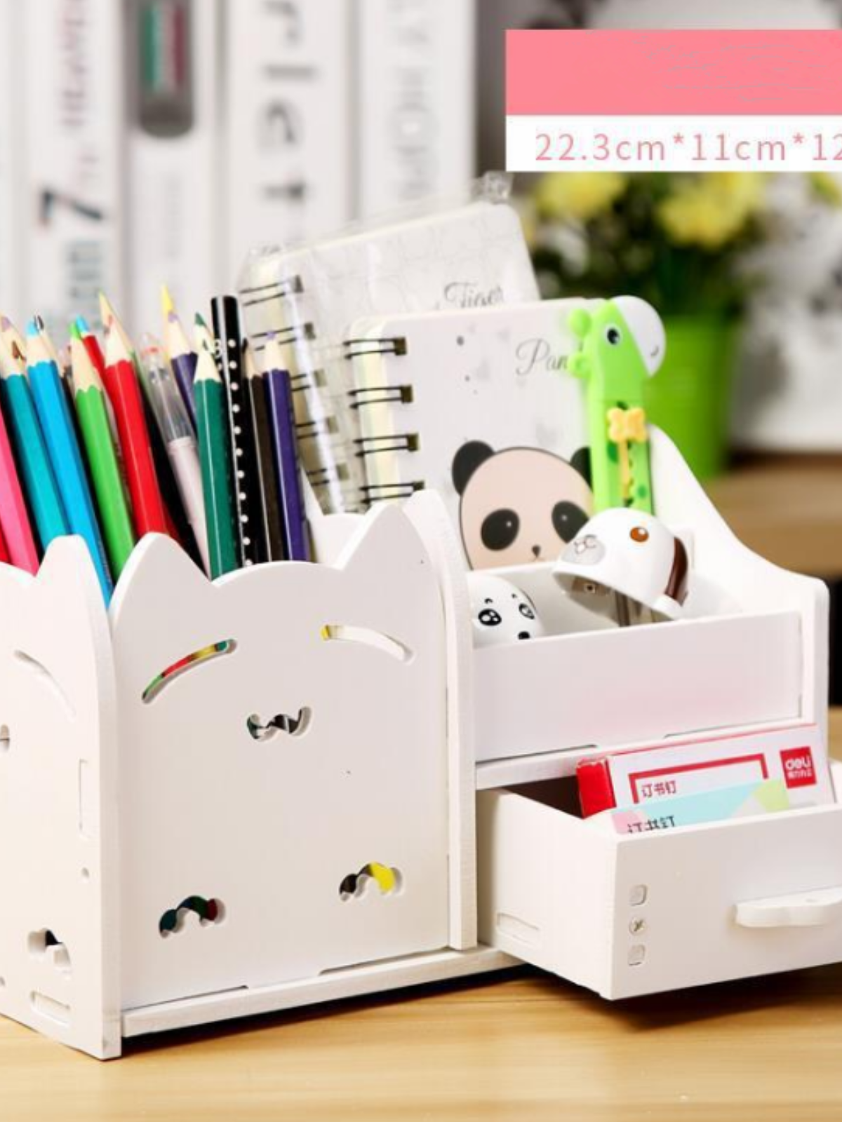 Multi-Function Desktop Organizer